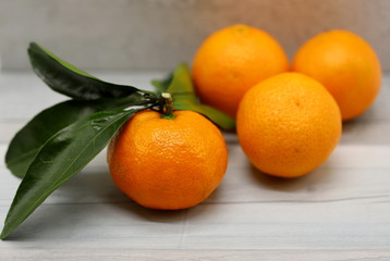 tangerines on white background