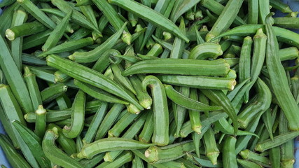 pile of green beans