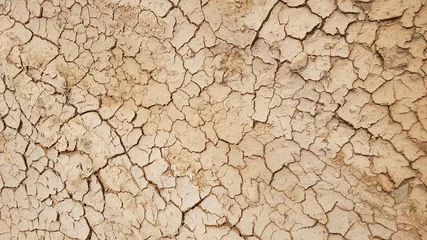 Deurstickers dry cracked earth texture © евгения мирная