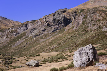 Cows grazing near Espigüete peak, in the mountains of Palencia. Spain.	