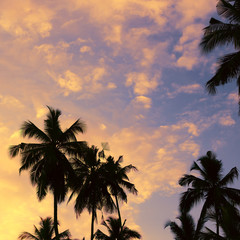 Fototapeta na wymiar Dark silhouettes of coconut palm trees against colorful sunset sky on tropical island. Vacation and exotic travel concept background.