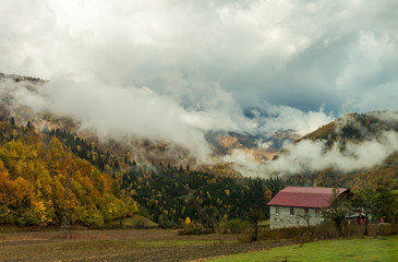 A single  farm is located at the foot of the mountains in Svaneti in the mountainous part of Georgia in the early morning