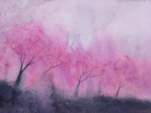 Watercolor Landscape Pink Trees Cherry Blossom Or Sakura Leaf Falling To The Wind In Mountain Hill With Meadow Field. Traditional Oriental Ink Asia Art Style.hand Drawn On Paper.