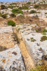 Obraz premium Cart ruts on the Malta island, known as Misrah Ghar il-Kbir or Clapham Junction. A complex network of tracks gouged in the rock.
