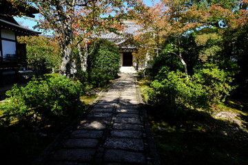 京都大本山天龍寺の紅葉し始めた日本庭園の風景