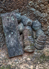 Obraz premium Banteay Srei or Banteay Srey temple Cambodia