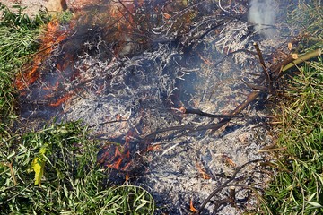 Fire burning twigs and branches. Closeup view