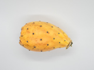 Prickly pear isolated