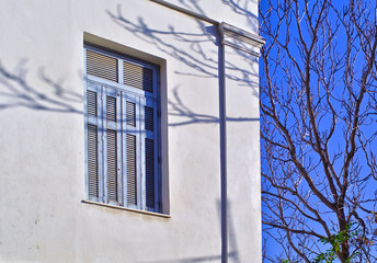 Window with wooden shutters and bare tree branches against blue sky.