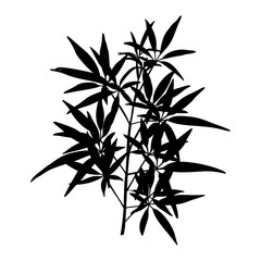 Black Silhouette of a branch of a Plant isolated on a white background. Vector illustration