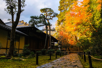 Fototapeta na wymiar 京都 秋の法然院 本堂