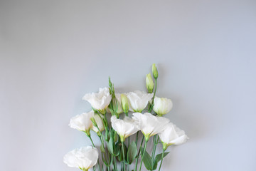 Beautiful bouquet  white gentian flowers on a grey background. Free space for text. Romantic date, a gift. Bouquet for  tender bride girl, witnesses. Declaration of love. White fresh branch 