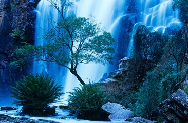 Australia waterfall in forest