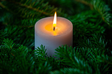 Christmas motif with white burning candle surrounded by Nordmann fir branches