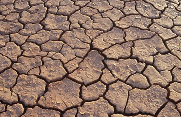 Cracked earth in desert full frame