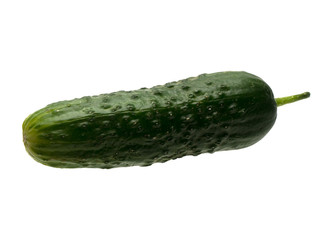 Graphic resources isolated object of cucumber on a white background
