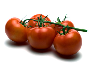 Graphic resources isolated object vegetable tomato