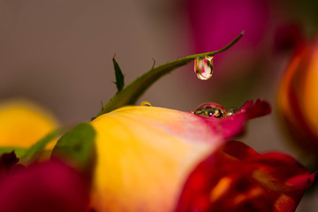 Il suffit d'un seul point de suspension...!