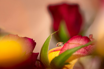 Pour le reflet d'une imagination...!