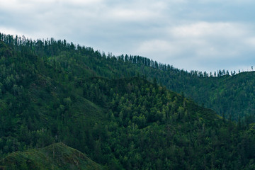 Background image of a mountain landscape. Russia, Siberia, Altai