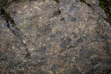 Texture of wet stone covered with moss. Background image of macro photography texture stone