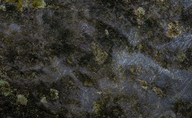 Texture of wet stone covered with moss. Background image of macro photography texture stone
