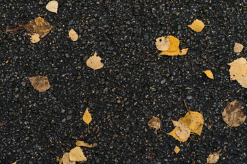 Fototapeta premium Graphic resources abstract textured background of an asphalt road in a park covered with autumn foliage