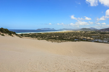 Fototapeta na wymiar Sand dunes in Joaquina Beach - Florianopolis, Santa Catarina, South Brazil