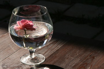 glass of flower wine