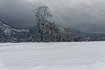 Panoramic view of Neuschwanstein Castle and Hohenschwangau Castle, Bavaria Germany