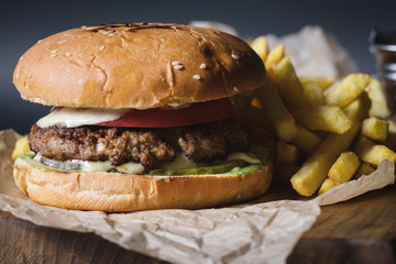 craft burger and fries. fastfood.