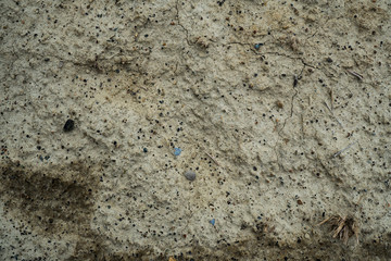 Texture of dried cracked clay. Macro background image of dried clay