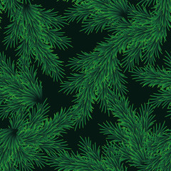 Branch of pine tree, seamless pattern background