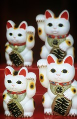 Obraz premium Chinese talisman cat figurines