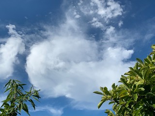 Obraz premium High cirrus cloud on an otherwise sunny day