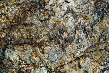 The texture of the stone overgrown with moss. Background image of a boulder