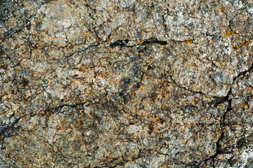 The texture of the stone overgrown with moss. Background image of a boulder
