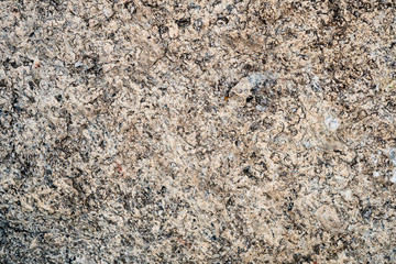 The texture of the stone overgrown with moss. Background image of a boulder