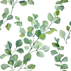 Greenery watercolor seamless pattern hand painted silver dollar eucalyptus. Nature eco design branches and leaves. Floral illustration for wrapping paper, textile fabric, rustic wallpaper background.