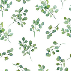 Zieleń akwarela bezszwowe wzór ręcznie malowane srebrny Dolar eukaliptusa. Natura ekologiczne gałęzie i liście. Zielona ilustracja do pakowania papieru, tkaniny, rustykalne tapety tło. - 310669383