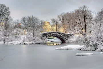 Fototapete Gapstow-Brücke Gapstow-Brücke im Central Park