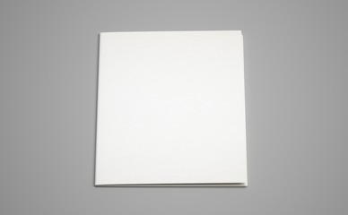 3d rendering white A4 folded brochure mockup grey background