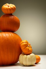 Variety of pumpkins over colored background