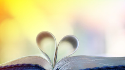 Open book with heart shaped pages. Love for reading. Isolated     