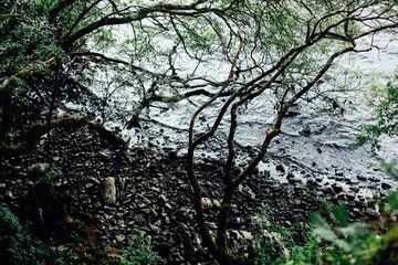Natural reservation 