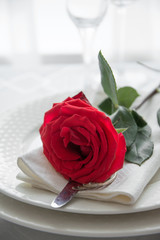 Valentine's day or romantic dinner with red rose.