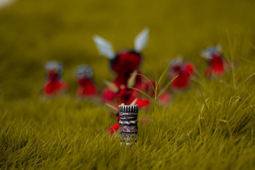 Konyaks - Tribe Nagaland