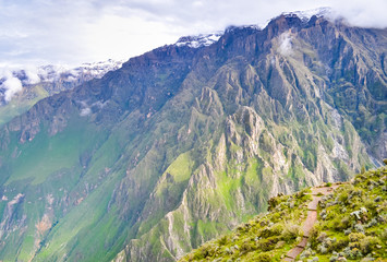 Naklejka premium Hiking trail in Colca canyon, Peru with rocky mountains and misty sky