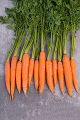 Fresh carrots on a grey background, close up