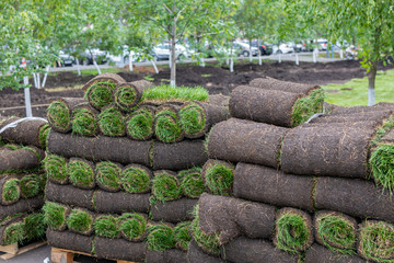 Pieces of sod covering dirt to make lawn. Stack of turf grass rolls for landscaping